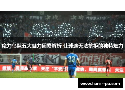 魔力鸟队五大魅力因素解析 让球迷无法抗拒的独特魅力